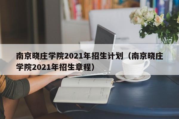 南京晓庄学院2021年招生计划（南京晓庄学院2021年招生章程）