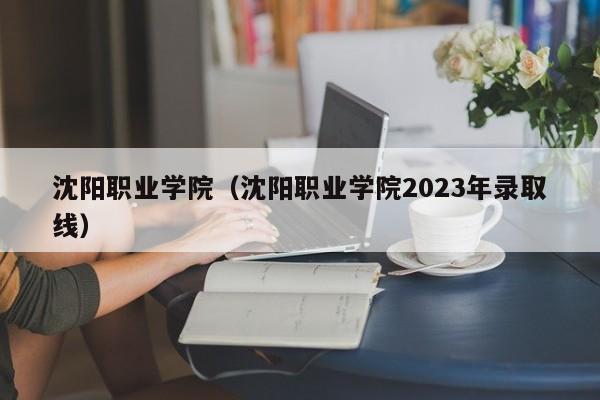 沈阳职业学院（沈阳职业学院2023年录取线）